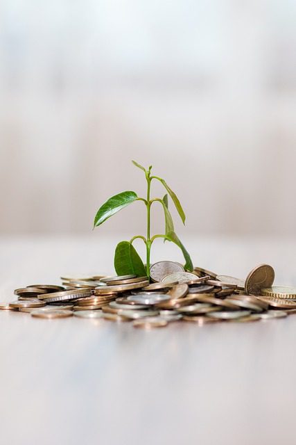 Fractional Financial Controller Recruitment Services