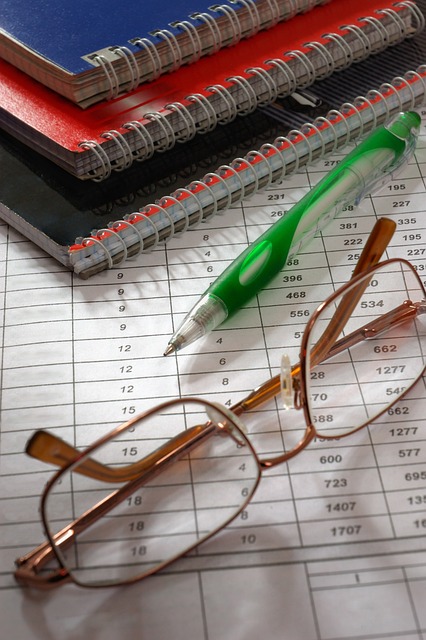 interim finance director