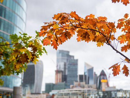 Why Financial Controllers Are in High Demand in London