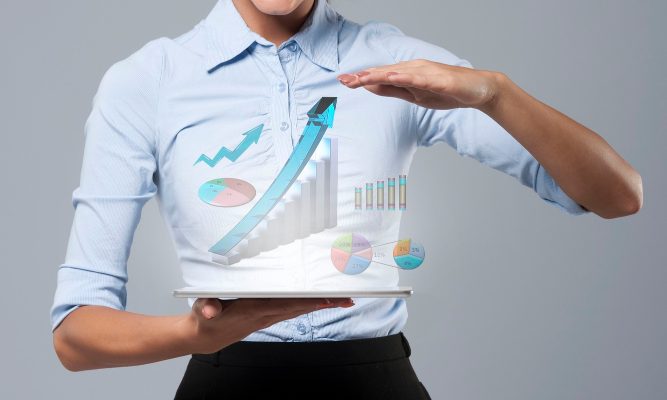 Interim Management Accountant