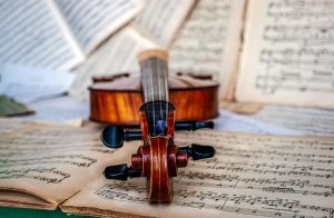 Fractional Financial Controller – Musical Instrument Manufacturer
